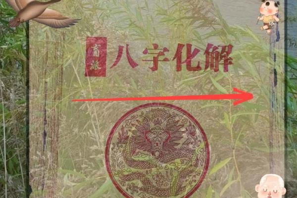 命卦坤卦四命解析:探索命理中的智慧与启示 命卦坤卦四命解析:探索命理中的智慧与启示