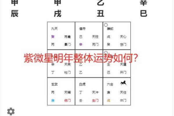 明年运势解析:哪些命格将迎来富婆的光辉人生? 明年运势解析:哪些命格将迎来富婆的光辉人生?