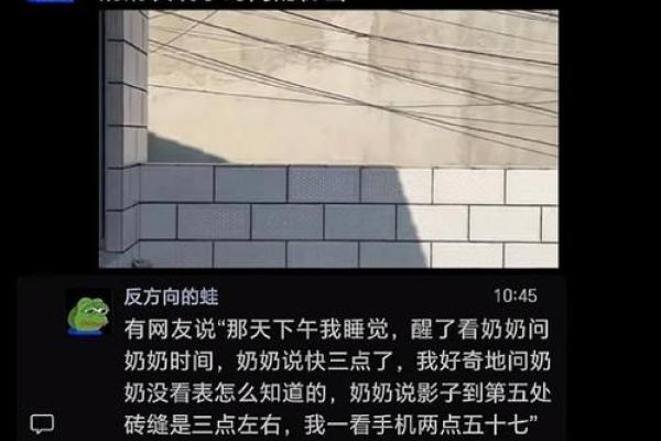 偏妃奶奶命的秘密与生活智慧之探讨 偏妃奶奶命的秘密与生活智慧之探讨