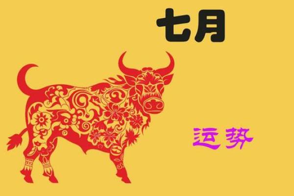 马烈如日中天,命运解读与运势解析 马烈如日中天,命运解读与运势解析