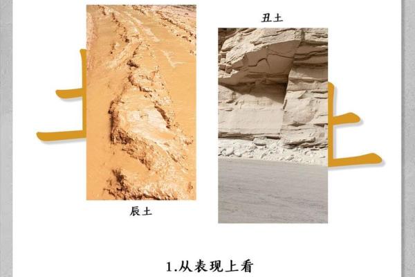 探索戌土的生命之义:揭开男命地支的神秘面纱 探索戌土的生命之义:揭开男命地支的神秘面纱