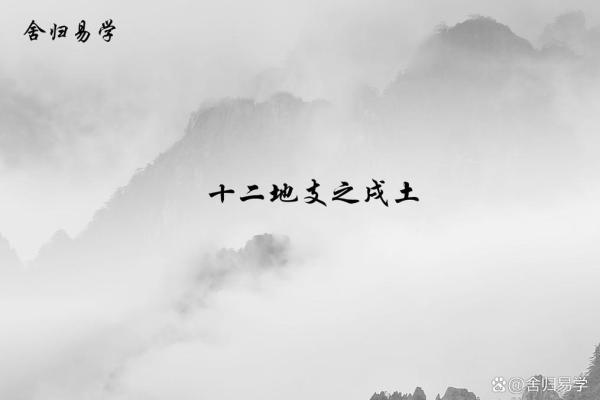 探索戌土的生命之义:揭开男命地支的神秘面纱 探索戌土的生命之义:揭开男命地支的神秘面纱