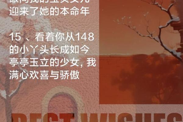 送给91年本命年的老公:暖心礼物推荐指南 送给91年本命年的老公:暖心礼物推荐指南