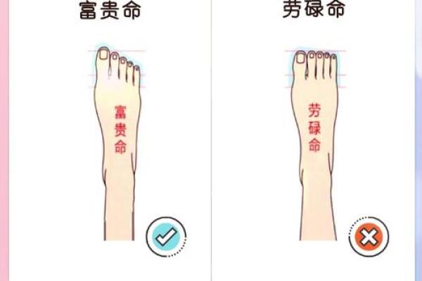 揭开命格的神秘面纱:如何理解与运用命理学 揭开命格的神秘面纱:如何理解与运用命理学