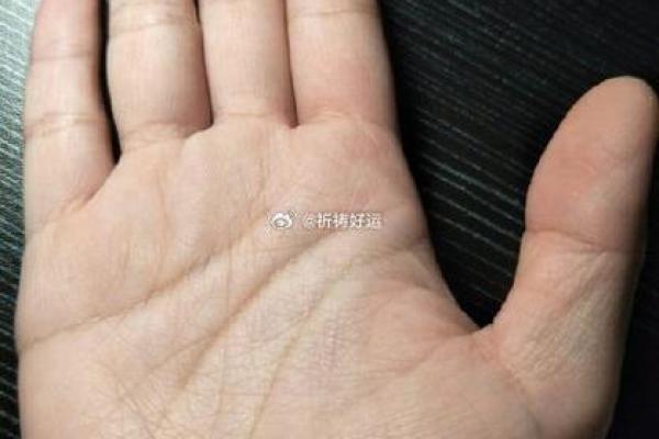 没有细纹的手掌,揭示你的命运与性格之谜 没有细纹的手掌,揭示你的命运与性格之谜