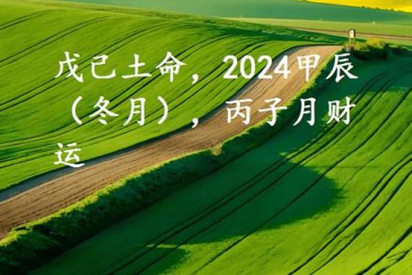 路旁土命:旺盛的命理之道与其适合的命格揭秘 路旁土命:旺盛的命理之道与其适合的命格揭秘