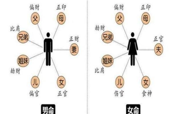 木命人与五行相生的完美搭配:与你的命理相伴一生的理想伴侣 木命人与五行相生的完美搭配:与你的命理相伴一生的理想伴侣