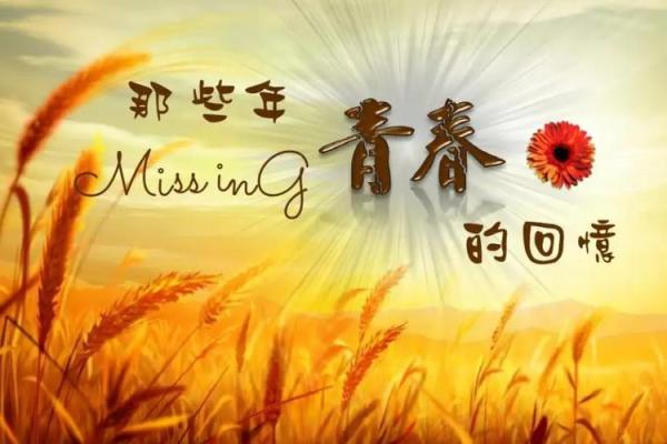 木命人与五行相生的完美搭配:与你的命理相伴一生的理想伴侣 木命人与五行相生的完美搭配:与你的命理相伴一生的理想伴侣