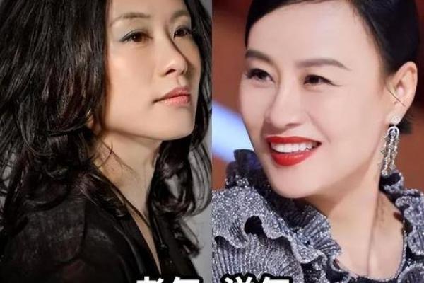 木命之人该如何选择颜色,提升运势与气场 木命之人该如何选择颜色,提升运势与气场