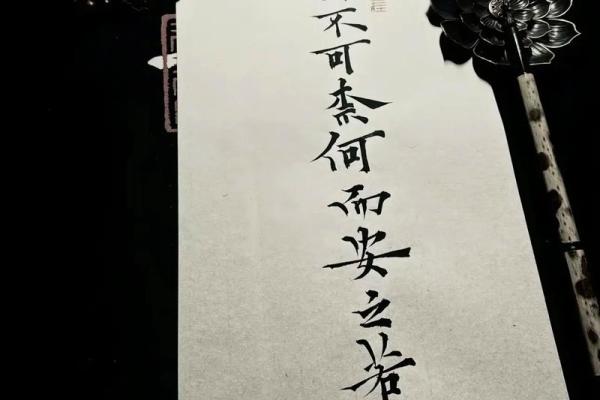 命不好并不可怕,努力向前才是关键! 命不好并不可怕,努力向前才是关键!