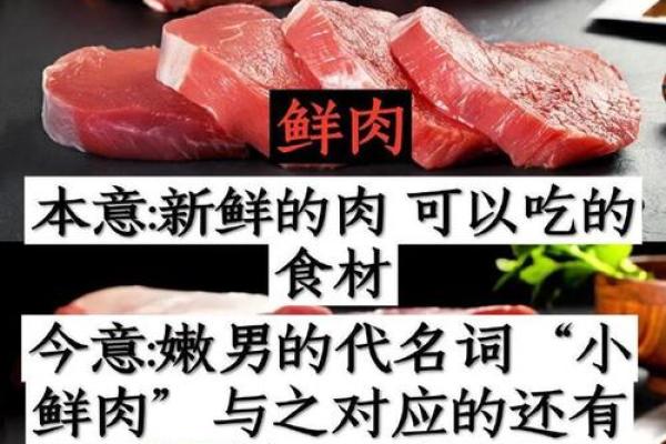 两命别踢:解读这一特别词汇背后的文化现象与生活智慧 两命别踢:解读这一特别词汇背后的文化现象与生活智慧