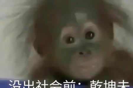 男朋友说“时也命也”，你听懂了吗？深度解析这句热议语录