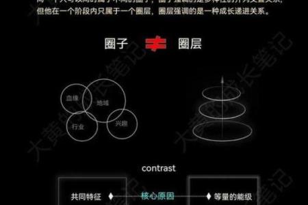 揭示女命喜用食伤的奥秘与生肖的深刻联系
