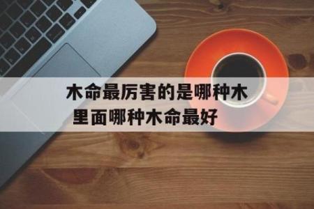 路旁土命与木命的完美搭配：命理中的和谐美学
