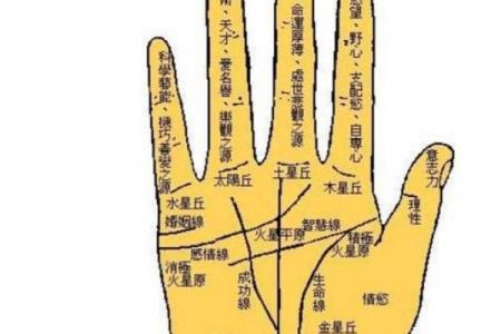 命带正宫加劫财，探秘命理中的财富与权势之道