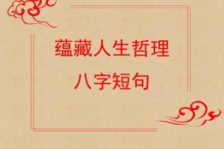 命里带杀官的深刻解读与人生启示