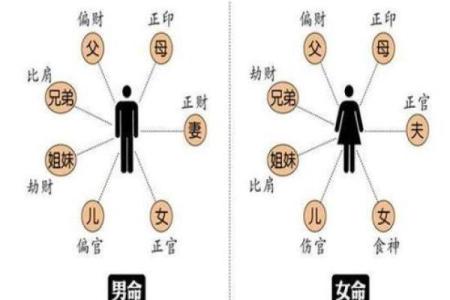 木命人与五行相生的完美搭配：与你的命理相伴一生的理想伴侣