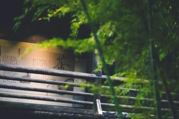 女命无正财,如何解读命理中的富贵与智慧? 女命无正财,如何解读命理中的富贵与智慧?