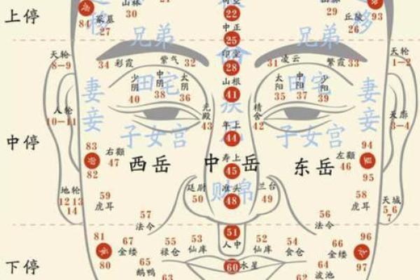 命理相合:揭示命运与命运的奇妙配合关系 命理相合:揭示命运与命运的奇妙配合关系
