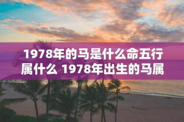 男孩属什么生肖命好?解读生肖与命运的奇妙关系 男孩属什么生肖命好?解读生肖与命运的奇妙关系