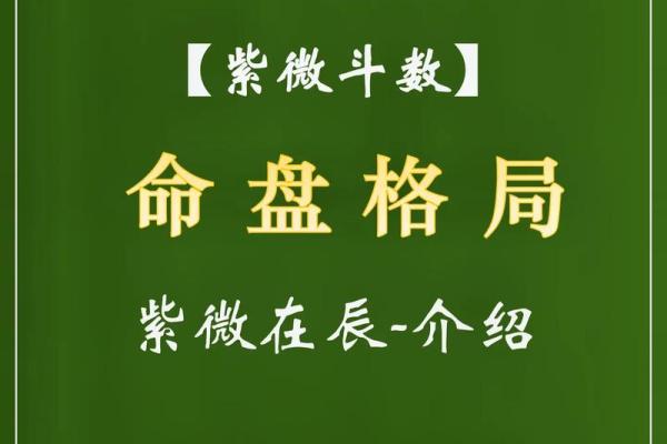流年命盘解析:揭示男命运势的神秘之旅 流年命盘解析:揭示男命运势的神秘之旅