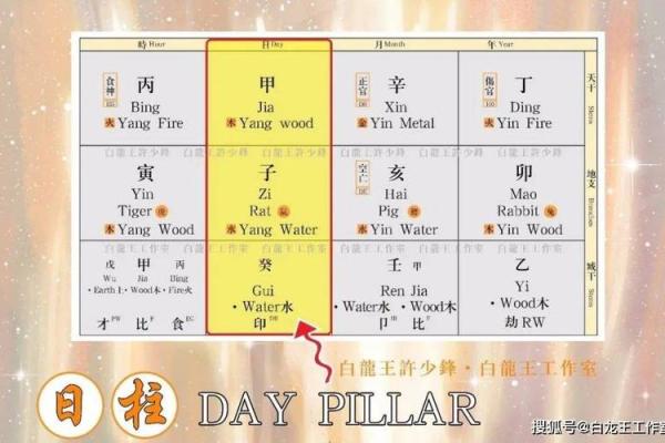 流年命盘解析:揭示男命运势的神秘之旅 流年命盘解析:揭示男命运势的神秘之旅