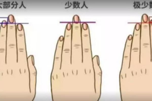 女生手指特征解析:你知道什么样的手指命最好吗? 女生手指特征解析:你知道什么样的手指命最好吗?