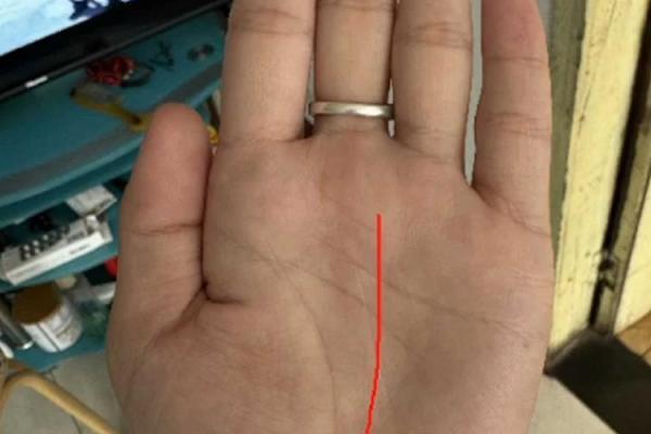 没有细纹的手掌:揭开命运之谜的神秘面纱 没有细纹的手掌:揭开命运之谜的神秘面纱