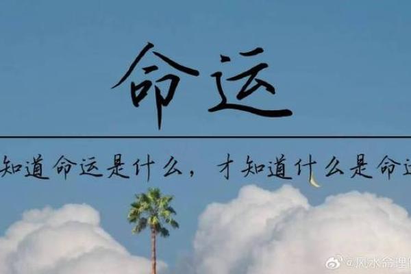 农历2014年:甲午年命理详解与命运启示 农历2014年:甲午年命理详解与命运启示