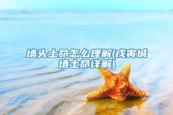 路旁土命:探秘命理中土元素的独特魅力与启示 路旁土命:探秘命理中土元素的独特魅力与启示
