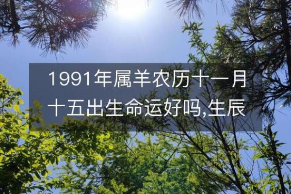 揭秘六七年属羊的命运与性格特征,让你更好理解自己! 揭秘六七年属羊的命运与性格特征,让你更好理解自己!