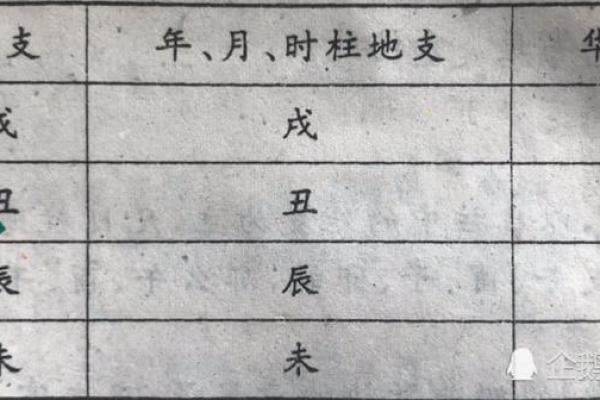 命带华盖的男人:是一种怎样的命运与特质? 命带华盖的男人:是一种怎样的命运与特质?