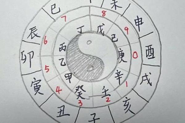 从女命天干乙地支巳看个性与命运的契合之道 从女命天干乙地支巳看个性与命运的契合之道