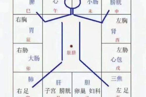 从女命天干乙地支巳看个性与命运的契合之道 从女命天干乙地支巳看个性与命运的契合之道
