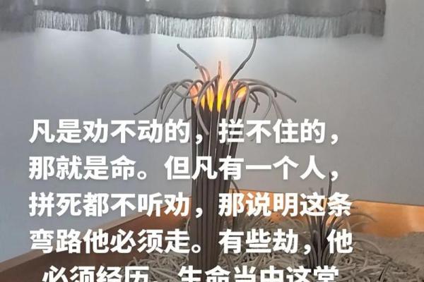 “我是他的命”——一段关于爱情的深刻解读 “我是他的命”——一段关于爱情的深刻解读