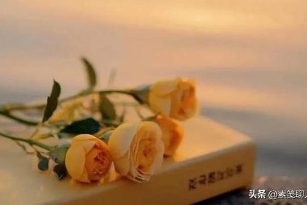 揭秘六月水虎宝宝的命运与人生潜能 揭秘六月水虎宝宝的命运与人生潜能