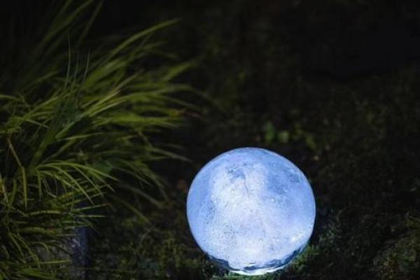 揭秘六月水虎宝宝的命运与人生潜能 揭秘六月水虎宝宝的命运与人生潜能