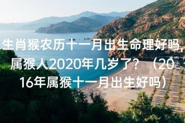 农历四月属猴,探寻猴年命运与机遇之道 农历四月属猴,探寻猴年命运与机遇之道