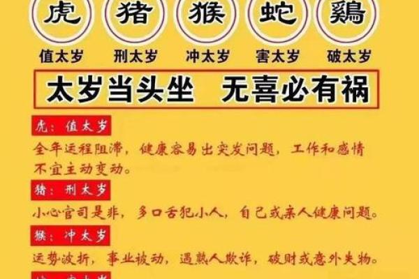 命理生肖中的对应字:文化与性格的深层解析 命理生肖中的对应字:文化与性格的深层解析