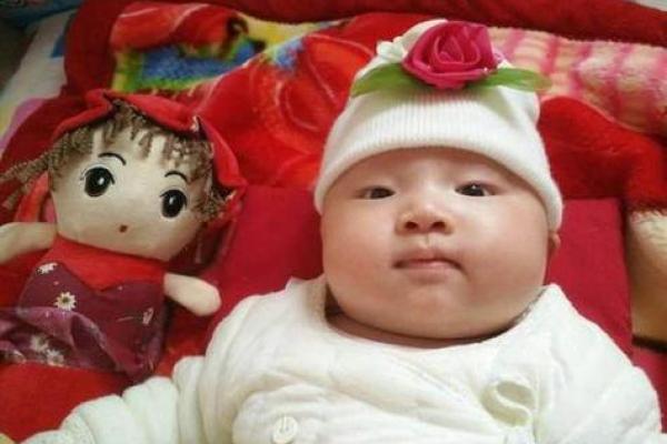 明年出生的宝宝属什么?揭晓属相与命运的秘密! 明年出生的宝宝属什么?揭晓属相与命运的秘密!