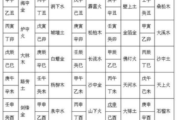 辛巳命:解读命理与生活的智慧之旅 辛巳命:解读命理与生活的智慧之旅
