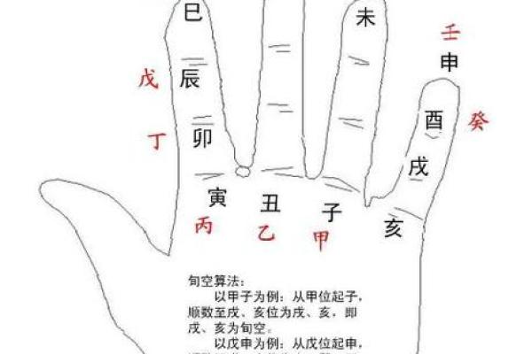 辛巳命:解读命理与生活的智慧之旅 辛巳命:解读命理与生活的智慧之旅