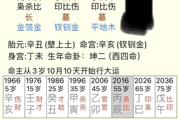 六十三岁属鼠的命理解析与人生智慧 六十三岁属鼠的命理解析与人生智慧