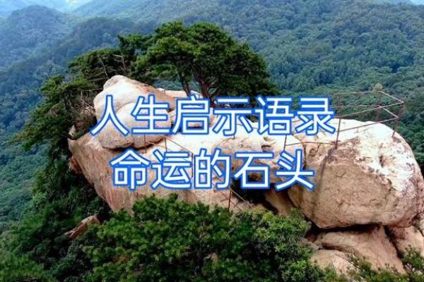 命理解读:缺角的命运启示与人生智慧 命理解读:缺角的命运启示与人生智慧