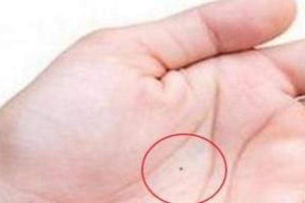 命宫白蜡金命:解密这一独特命格的特征与运势 命宫白蜡金命:解密这一独特命格的特征与运势