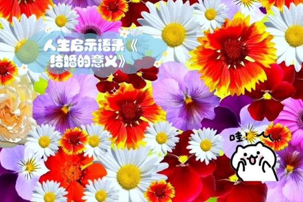 命里嫁贵夫的深层意义与启示 命里嫁贵夫的深层意义与启示
