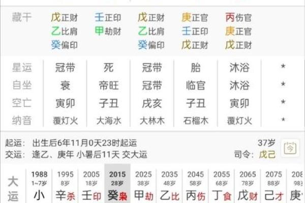 探索命理中的乙木:象征与影响解析 探索命理中的乙木:象征与影响解析