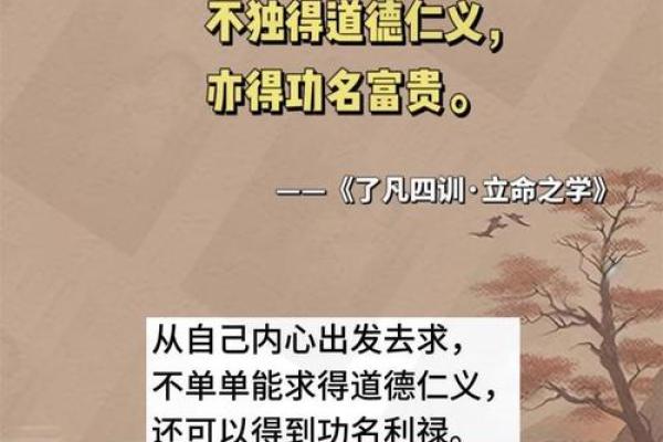 探寻“命好的男人”:他们的特点与吸引力分析 探寻“命好的男人”:他们的特点与吸引力分析