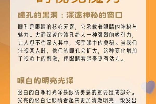 探寻“命好的男人”:他们的特点与吸引力分析 探寻“命好的男人”:他们的特点与吸引力分析