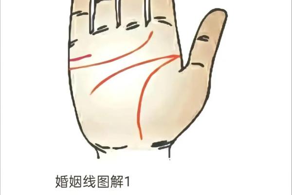 探寻女命八字:揭示代表子女的秘密元素 探寻女命八字:揭示代表子女的秘密元素